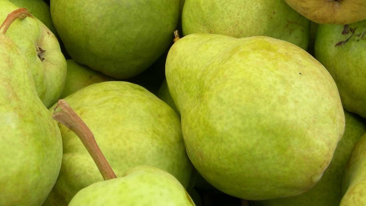 فوائد الكمثرى – أهم فوائد الإِجَّاص بالتفصيل