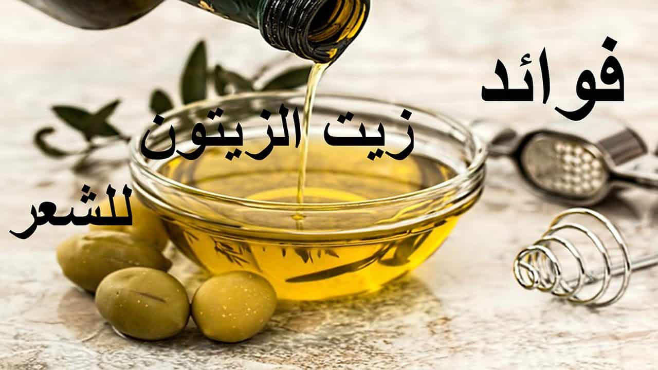 فوائد زيت الزيتون للشعر