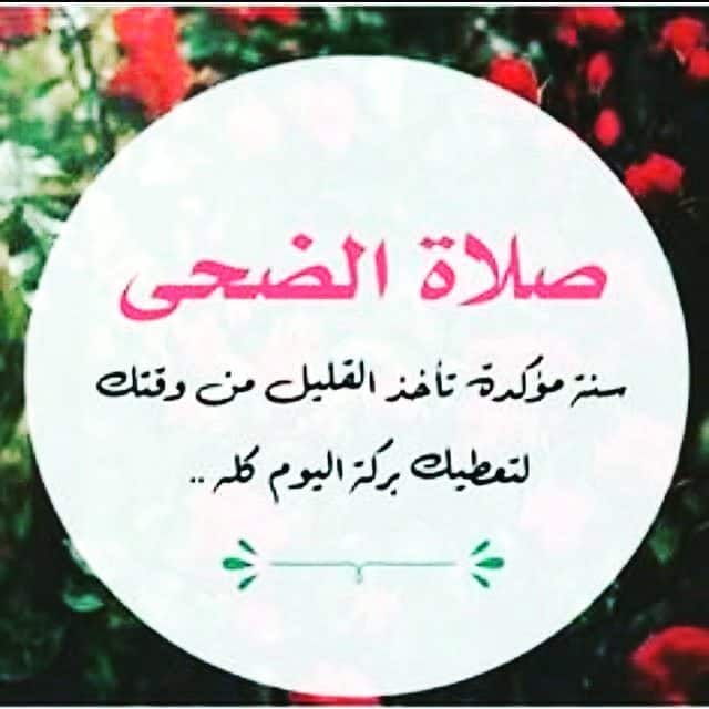 كيفية صلاة الضحى بالتفصيل وموعدها وفضلها