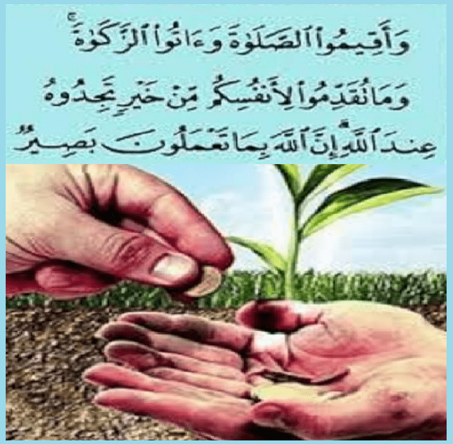 شروط زكاة المال لمن تعطى