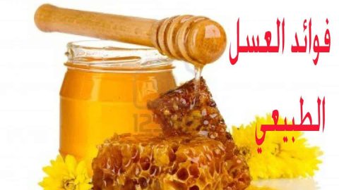 فوائد العسل بالتفصيل مقال شامل