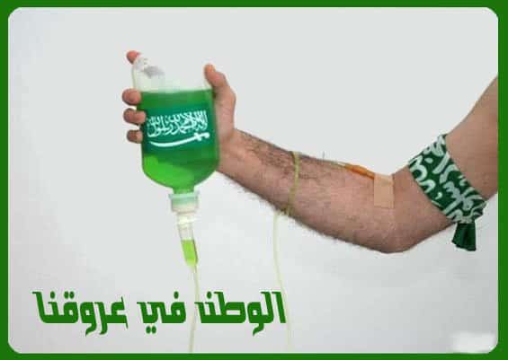 مقال عن الوطن