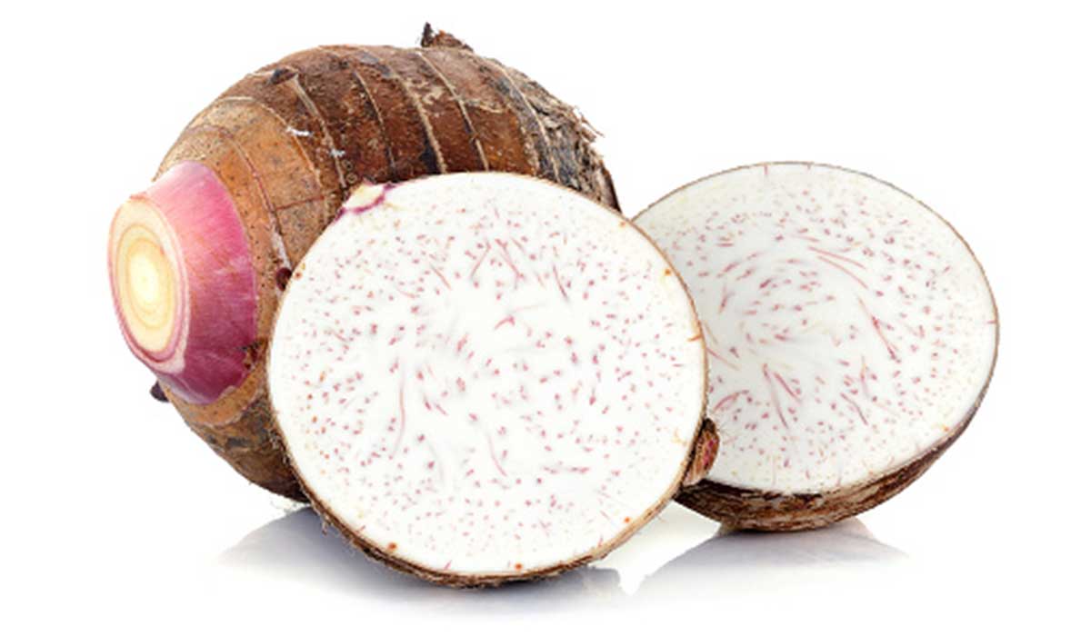 أهم فوائد القلقاس