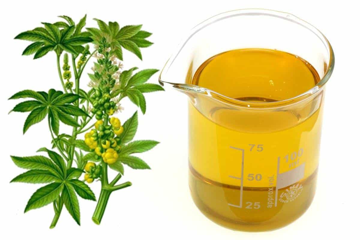 أهم فوائد زيت الخروع وطرق استخدامه