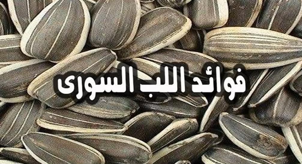 أهم فوائد اللب السوري العلاجية واضراره