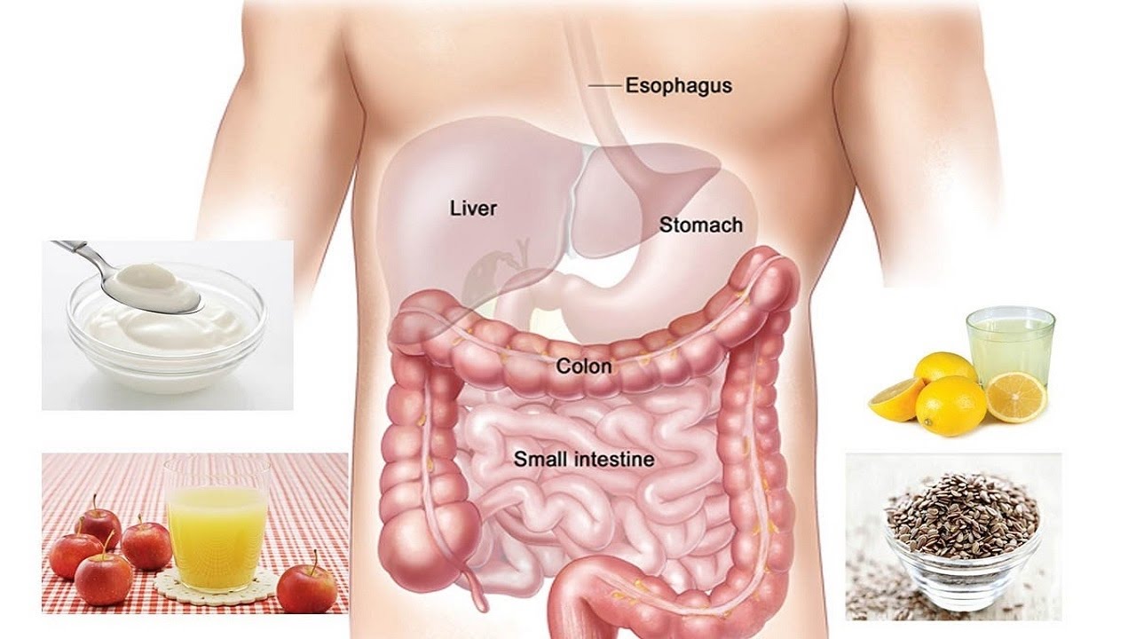 كيفية تنظيف القولون من السموم نهائيا في دقائق