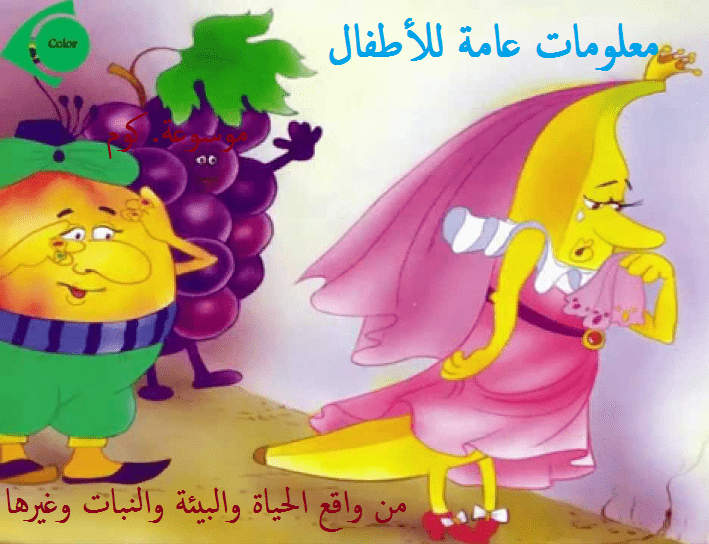 معلومات عامة للاطفال