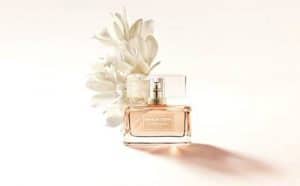 عطر داليا ديفان نيود عطر داليا ديفان نيود