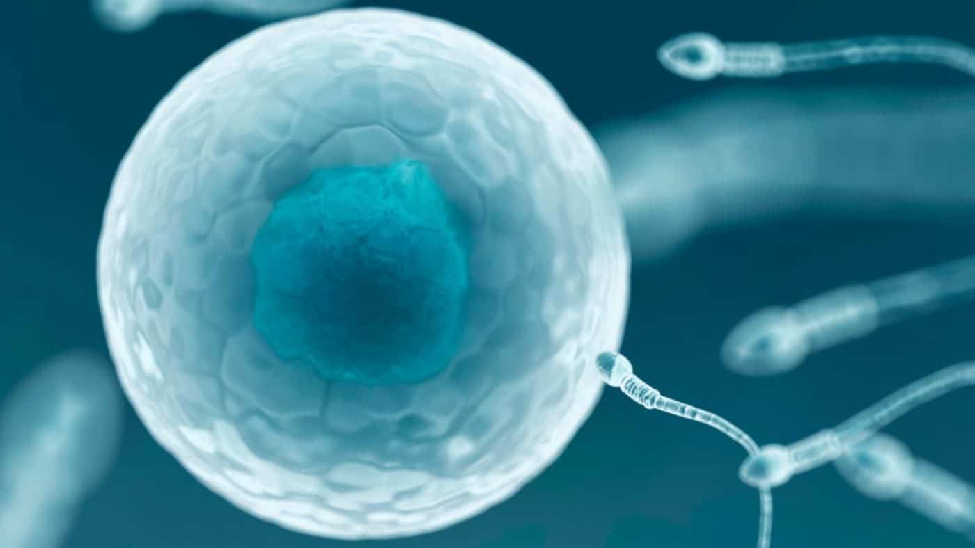 ما هو الحمل العنقودي واسبابه وعلاجه