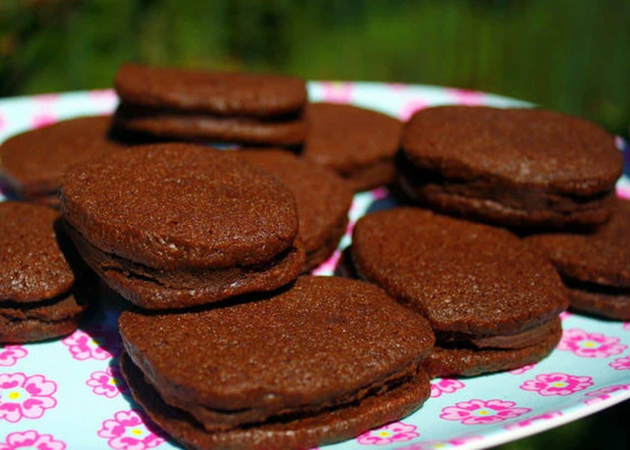 طريقة عمل بسكويت الكاكاو سهل