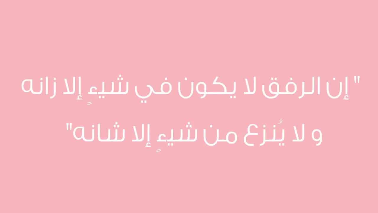 إذاعة عن الرفق
