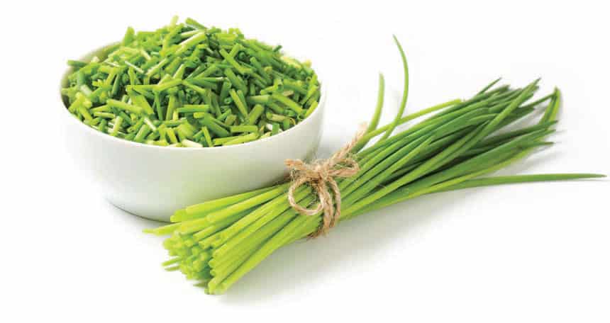 تزيين الأطباق باستخدام البصل الأخضر تزيين الأطباق باستخدام البصل الأخضر