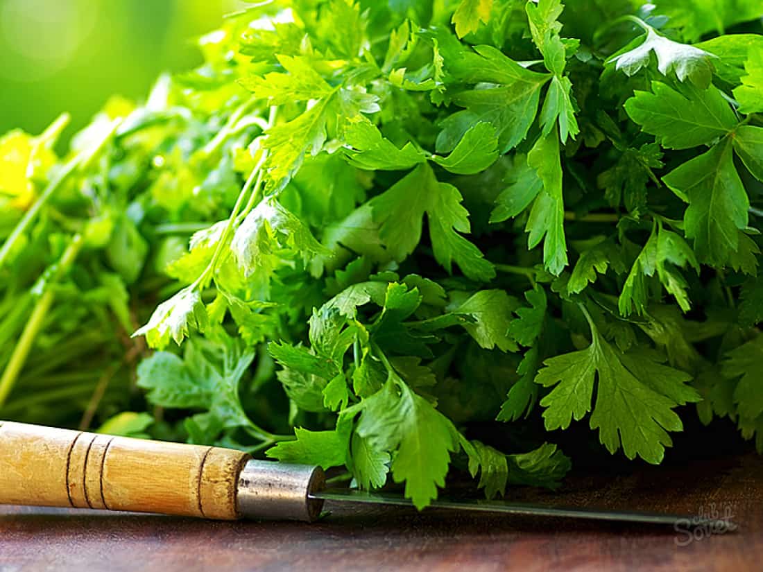 فوائد اكل البقدونس