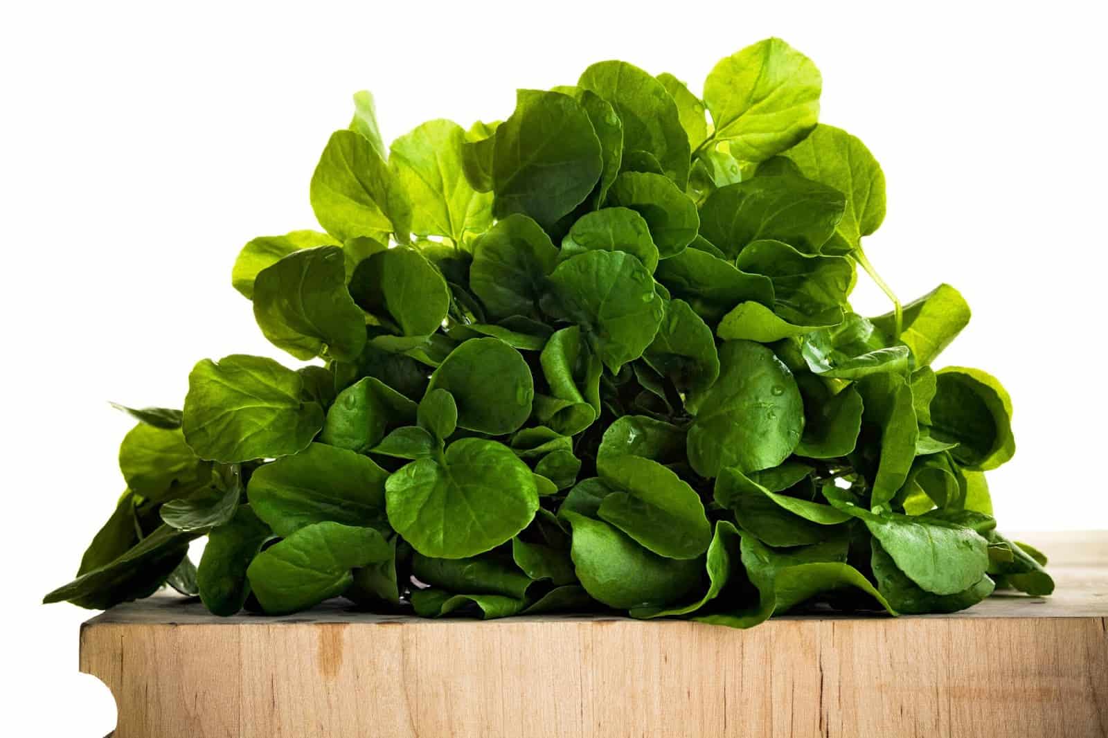 ما هي فوائد الجرجير