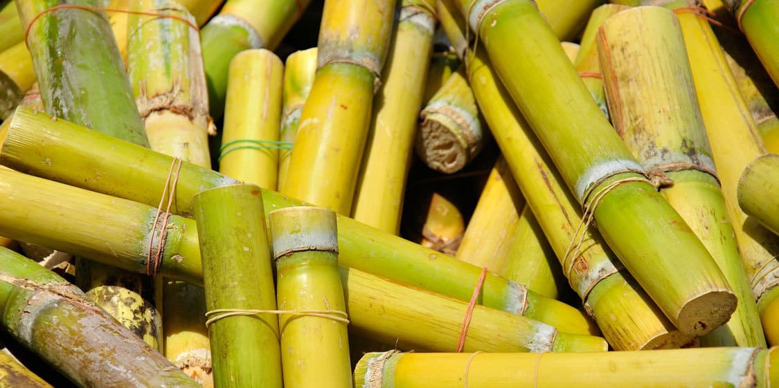 ما هي فوائد عصير القصب واضراره