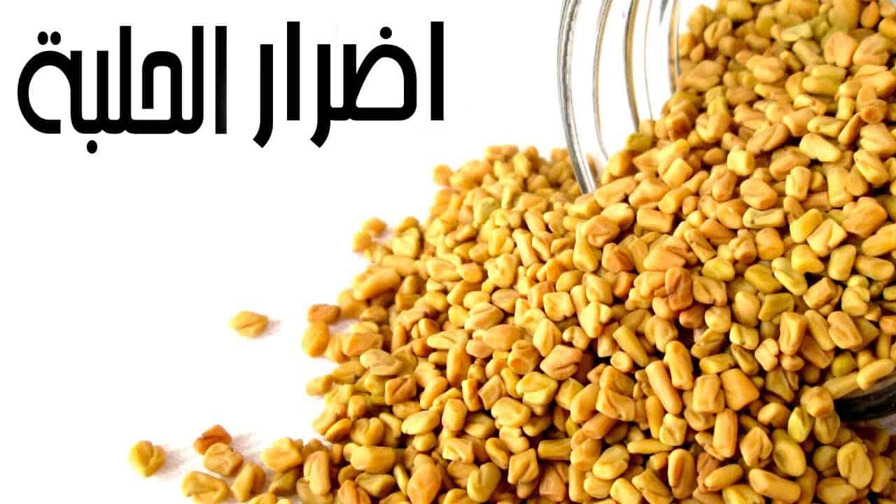 ما هي أضرار الحلبة وفوائدها