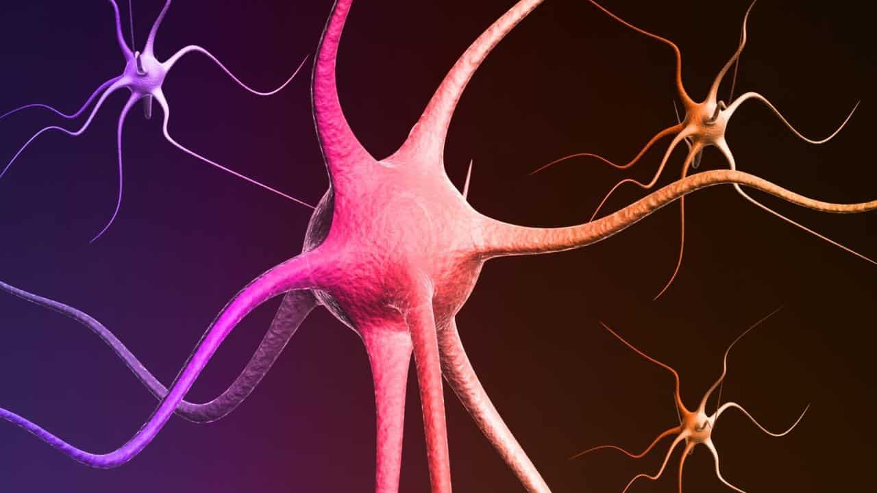 ما هو العصب الحائر واعراض اضطرابه ؟