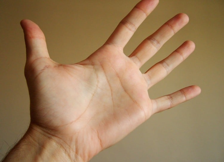 تفسير حمل اليد في المنام