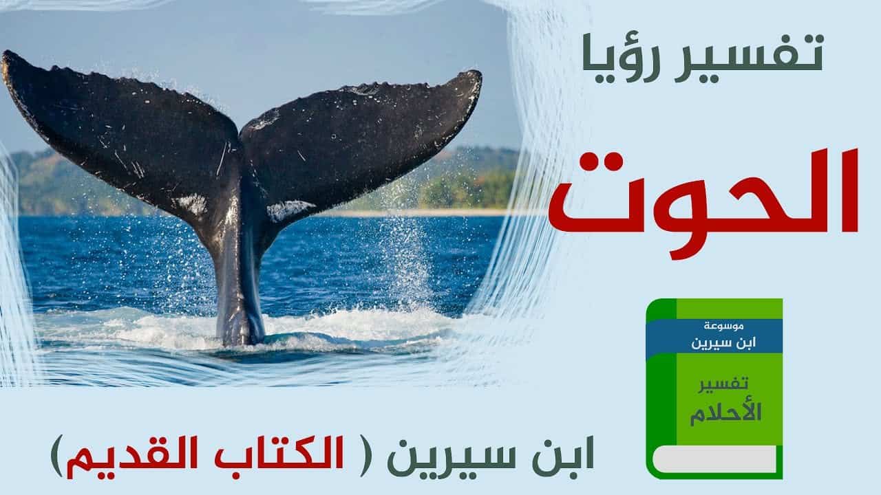 تفسير رؤية نظرة حوت وذهبها