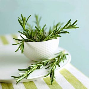 عشبة الجلنار الجلنار