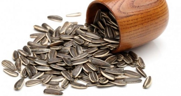 فوائد اللب السورى والرجيم