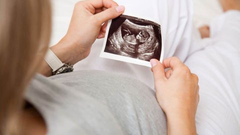 حاسبة الحمل وشكل الجنين