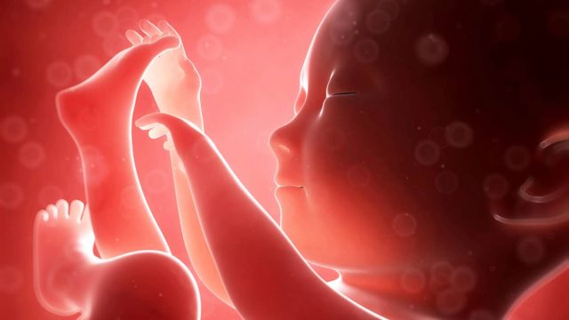 ما هي أسباب نزول الجنين في الأشهر الأولى من الحمل ؟