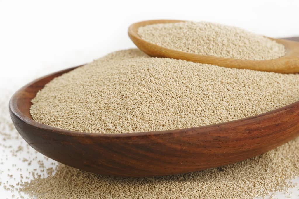 طريقة استخدام الخميرة البيرة ف نمو الثدى وتكبيره