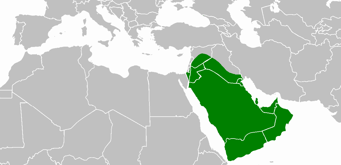 بحث عن الدولة الأموية وخلفائها واسباب انهيارها