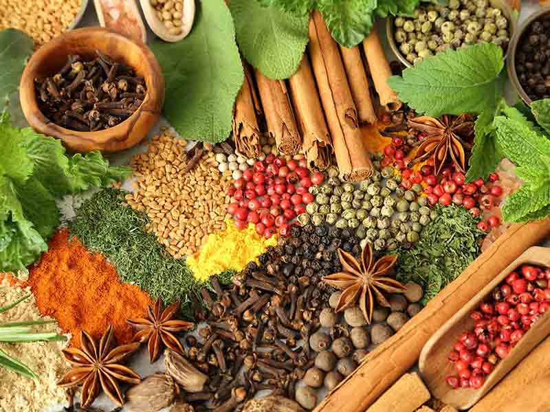 الطب العربي بالأعشاب أهم اسماء الاعشاب والامراض التي تعالج منها