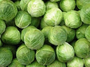 الكرنب