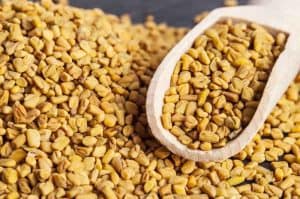 بذور الحلبة