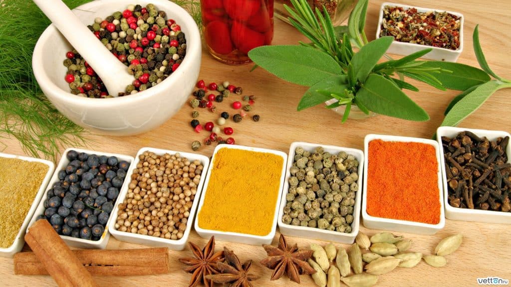 علاج قرحة المعدة بالأعشاب