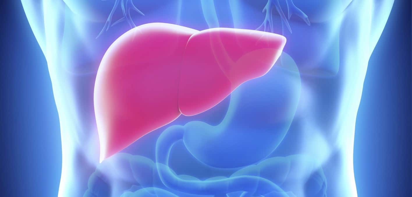 علاج مرض الكبد بالاعشاب د عبدالباسط السيد