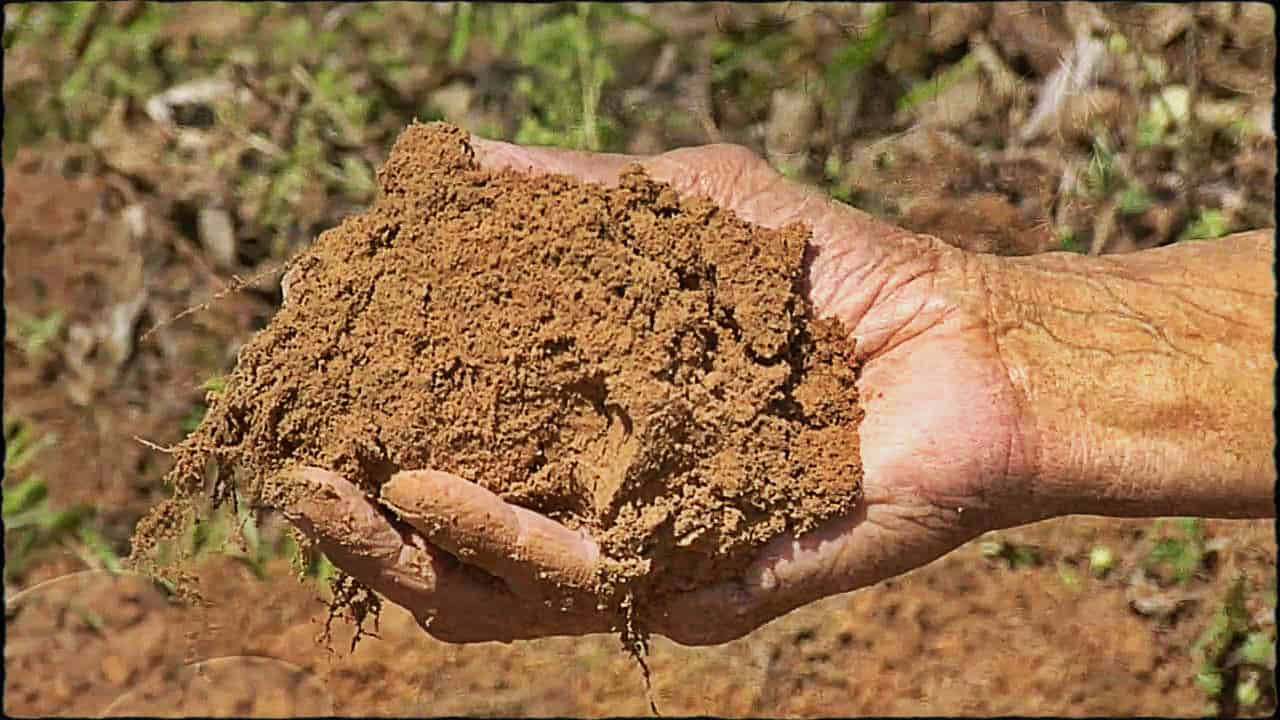 تفسير حلم ارض واسعه طينية