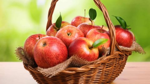 رجيم التفاح لخسارة الوزن فى اسرع وقت