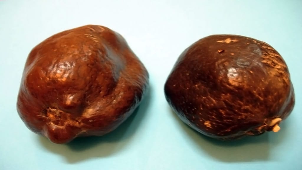 ما هي فوائد الدوم للصحة والبشرة والتنحيف ؟