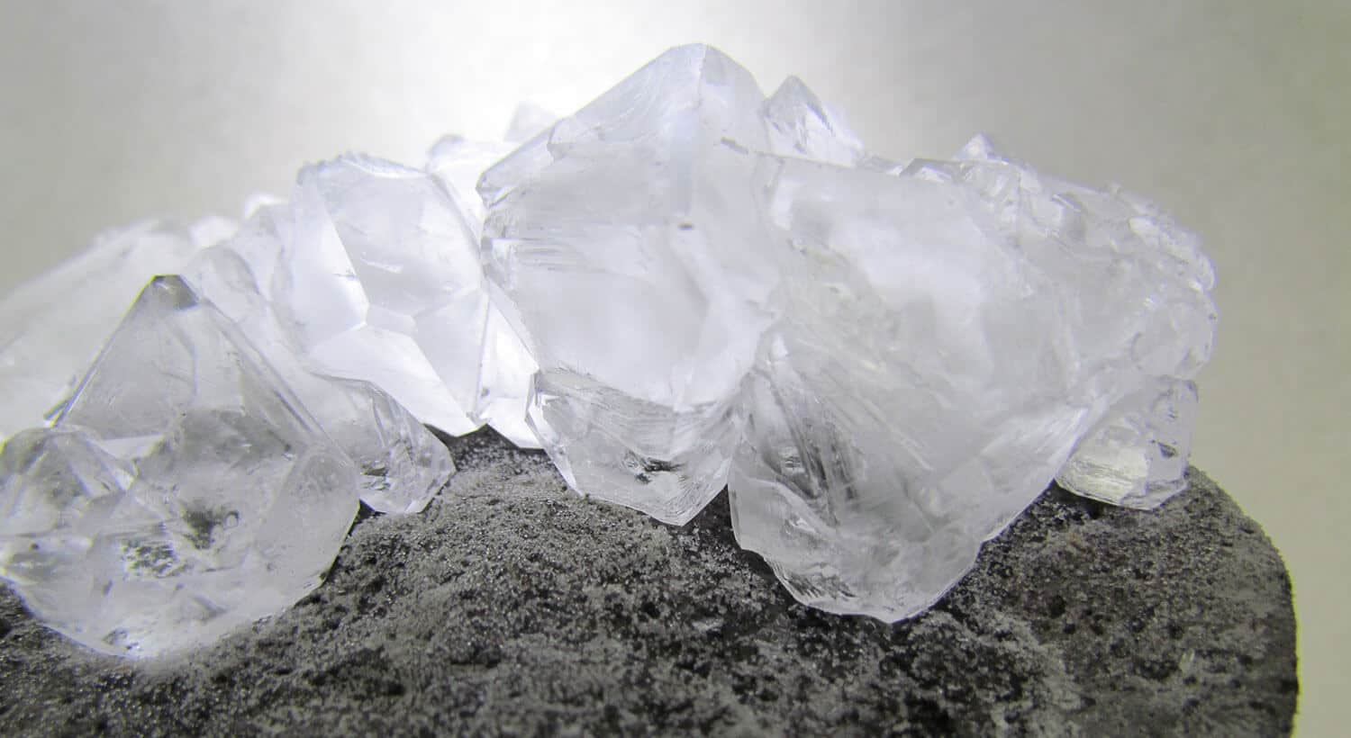 فوائد الشبة للصحة والبشرة والجسم