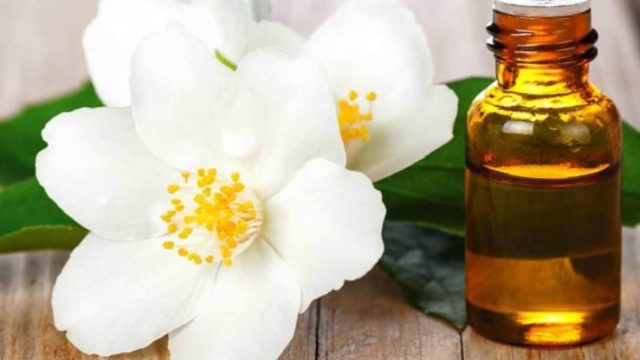 فوائد زيت الورد للشعر وطريقه وتجارب استخدامه والحصول عليه