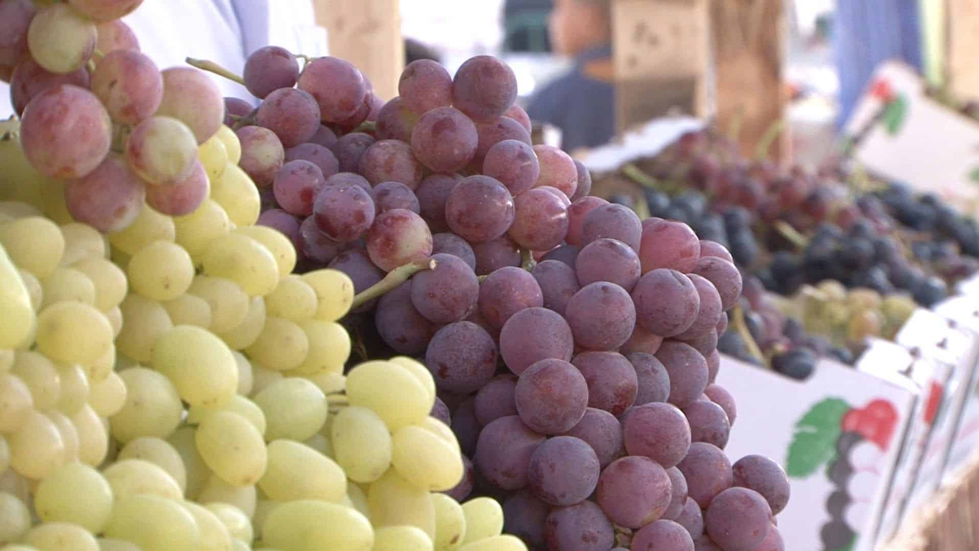 تفسير اكل الميت العنب في المنام