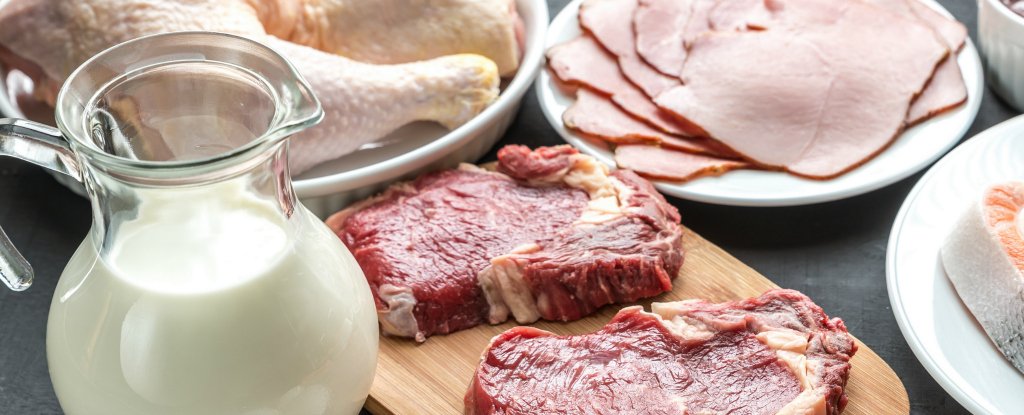 رؤية اللحم واللبن في المنام