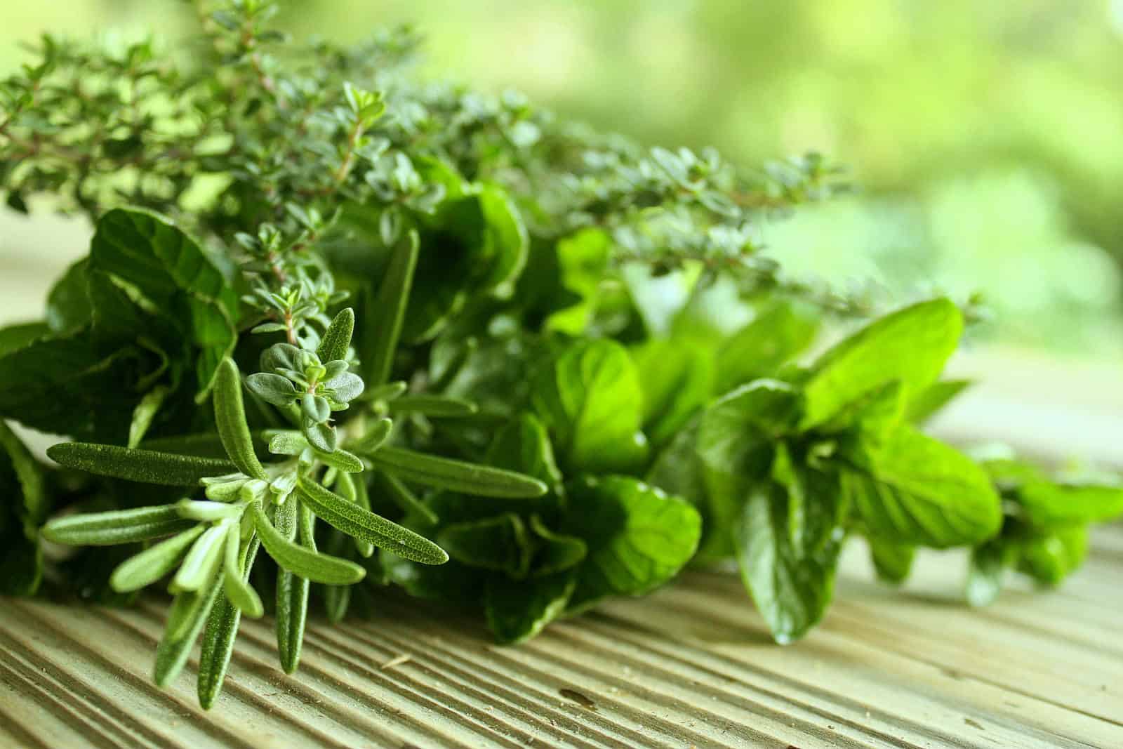 تفسير زرع الخضار في الحلم