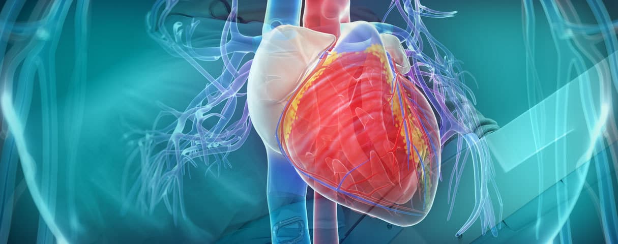 سبب زيادة في ضربات القلب بعد الأكل وعلاجه