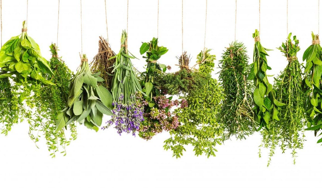 طريقة تحضير البقدونس للوقايه من العديد من الأمراض