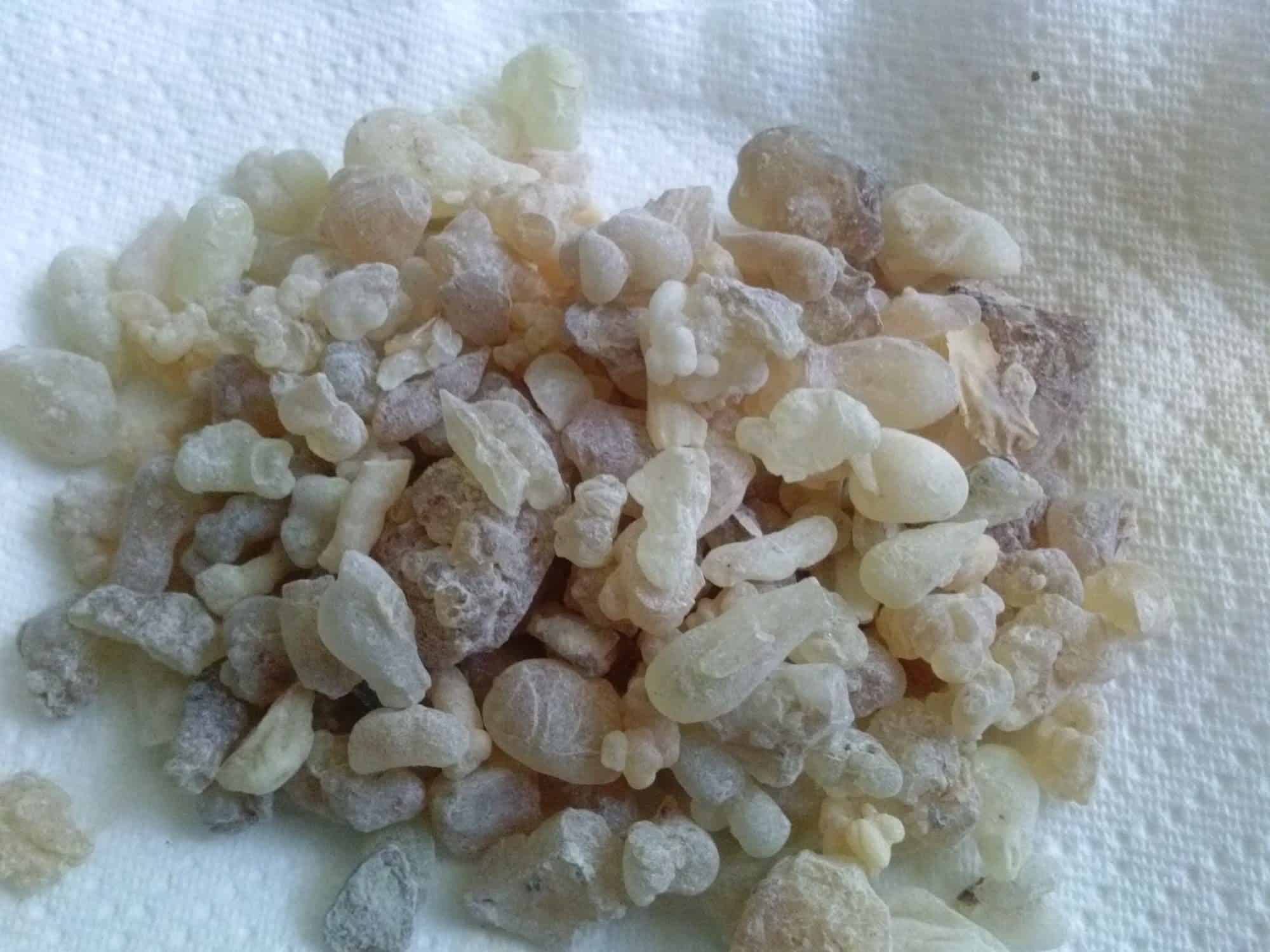 ما هي إستخدامات المستكة وفوائدها ؟