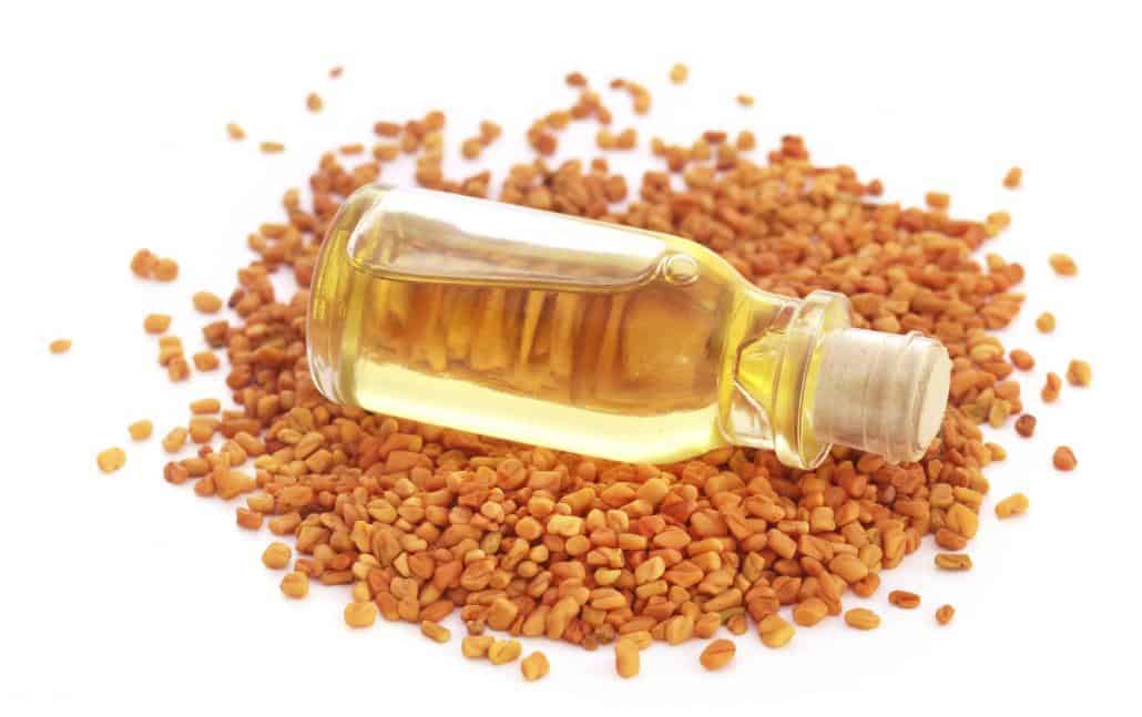 خلطات الحلبة لتسمين الثدي