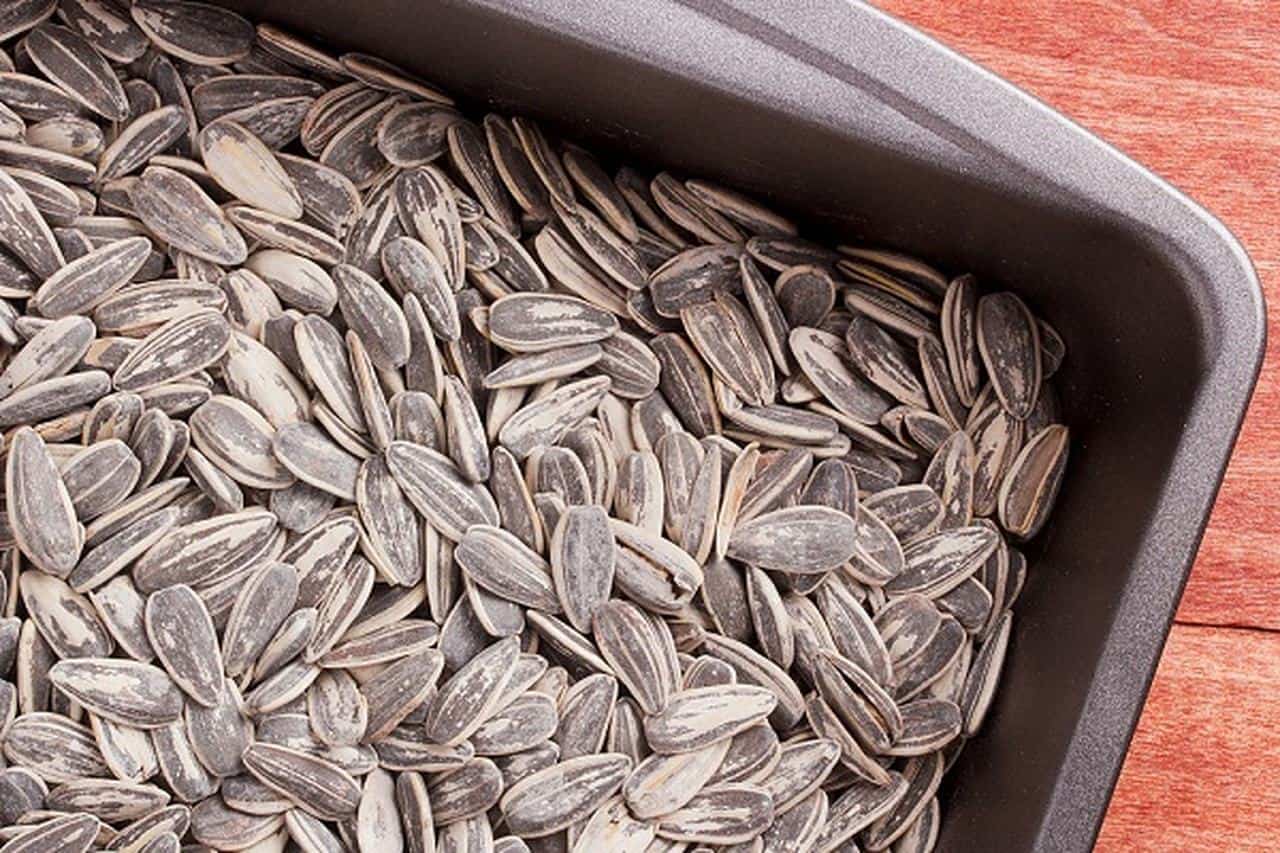 هل اللب السوري يزيد الوزن؟