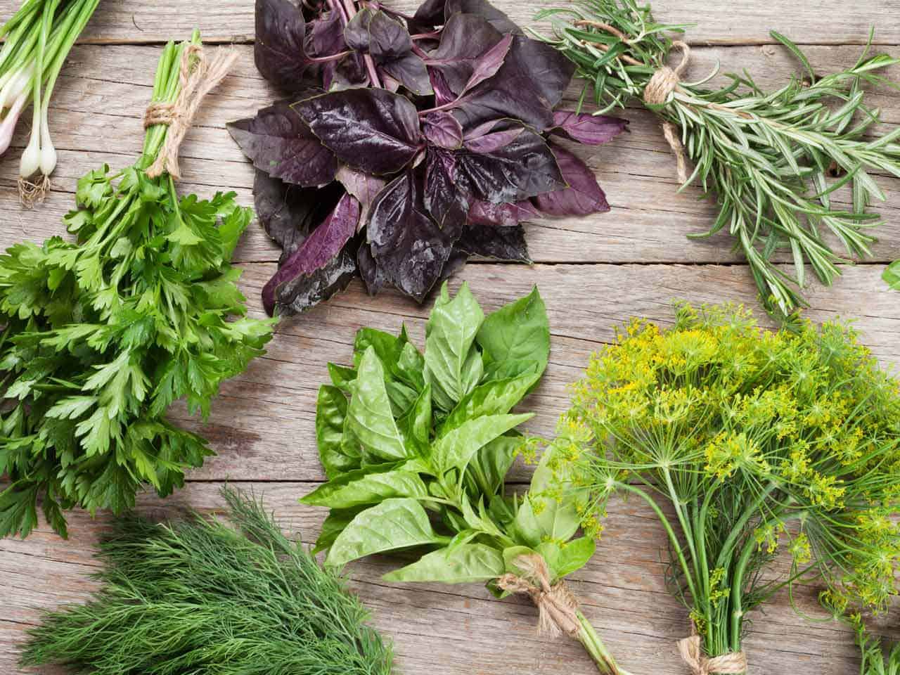 علاج المغص عند الرضع بالأعشاب