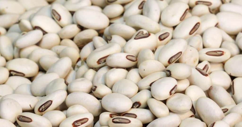 فوائد اللوبيا البيضاء والحمراء والخضراء للصحة والجنس