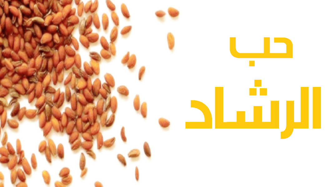 فائدة حب الرشاد للشعر